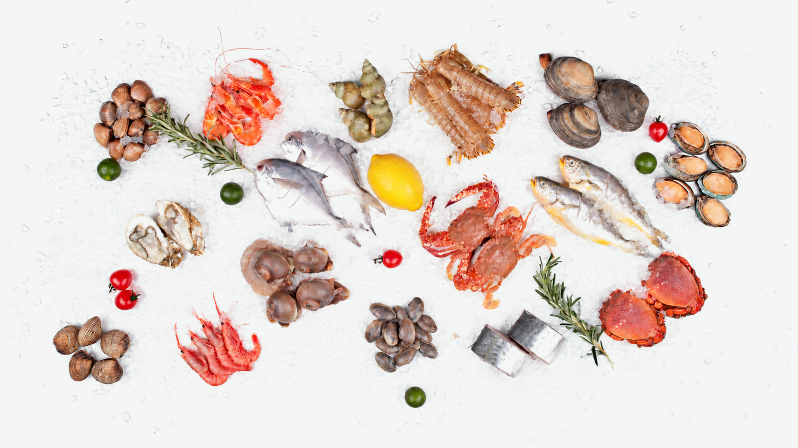 Fresh seafood