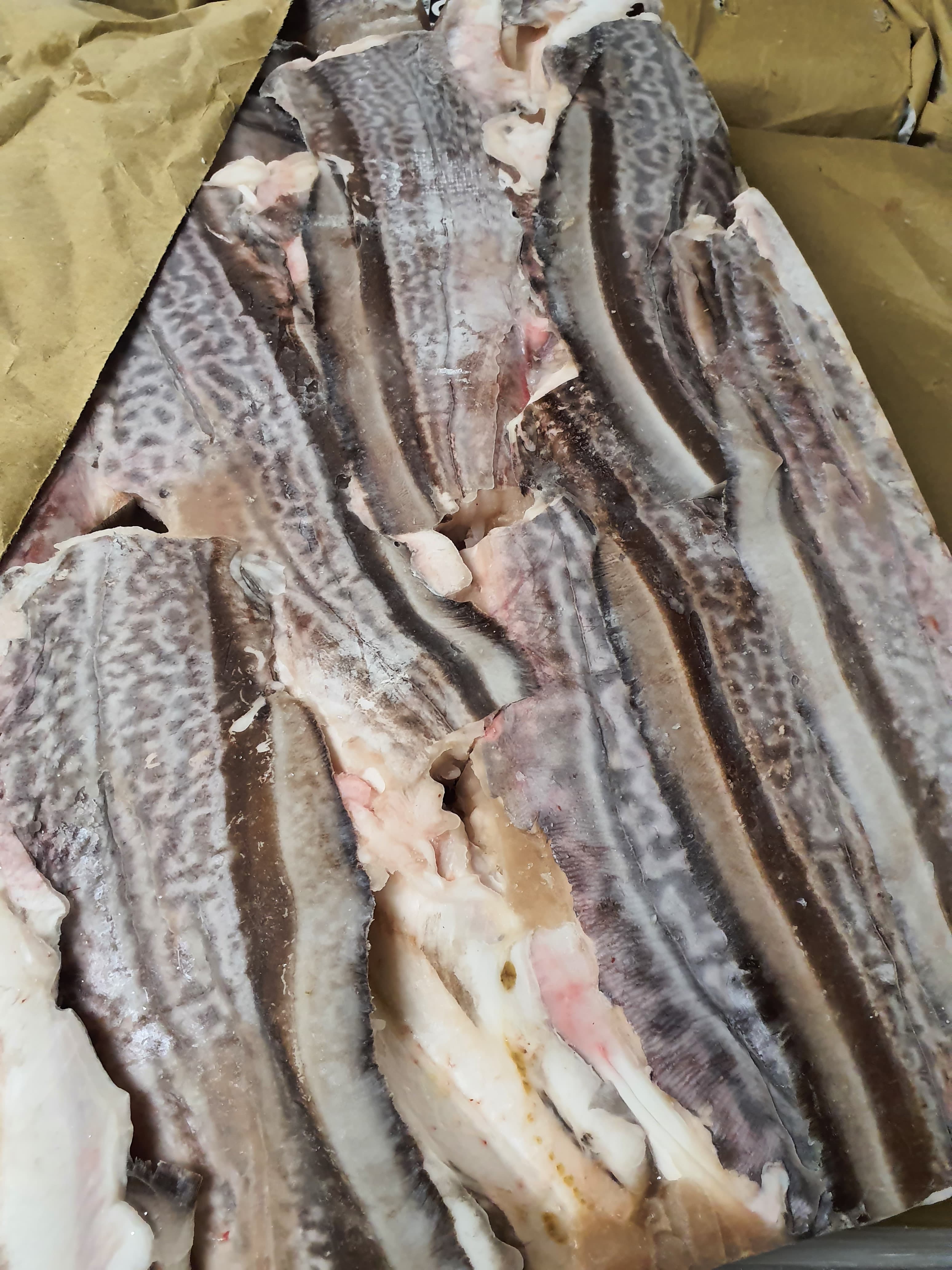 Frozen European Rabit fish (headless, gutted), mix (NO) (chimaera monstrosa)