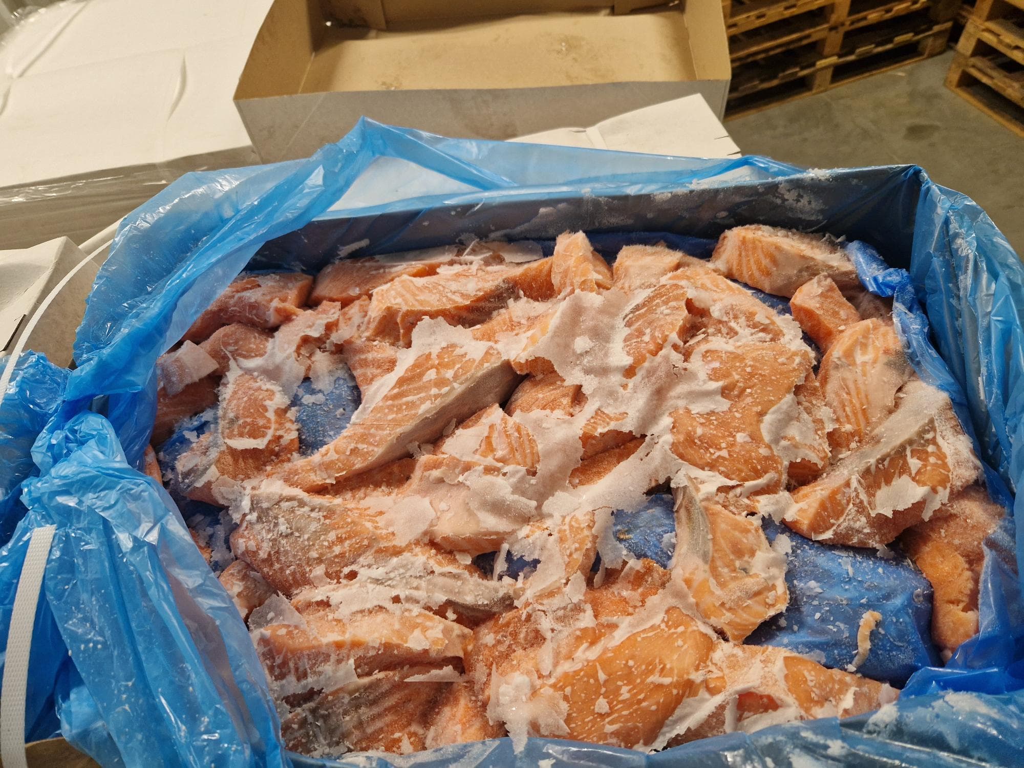 Frozen Atlantic Salmon Bites and Pieces, Without Skin